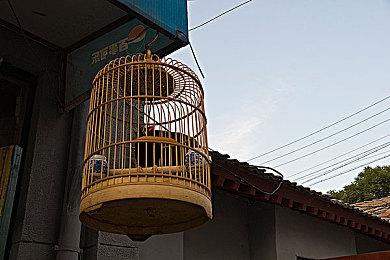 回合制文明培育模拟游戏《百年王国》2月3日登陆NS和Steam 支持中文